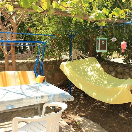 Begonvil * Datça